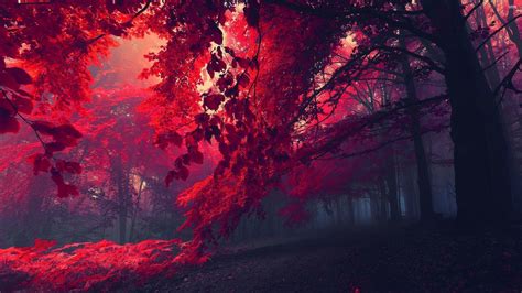 computer wallpaper 4k|300,000+ of the Best Free 4K Wallpaper Images.